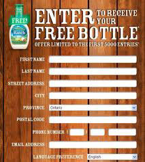 Hidden Valley Ranch - Dip vs Dress